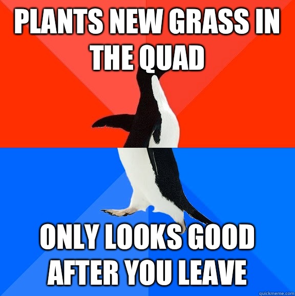 Plants new grass in the Quad Only looks good after you leave  Socially Awesome Awkward Penguin