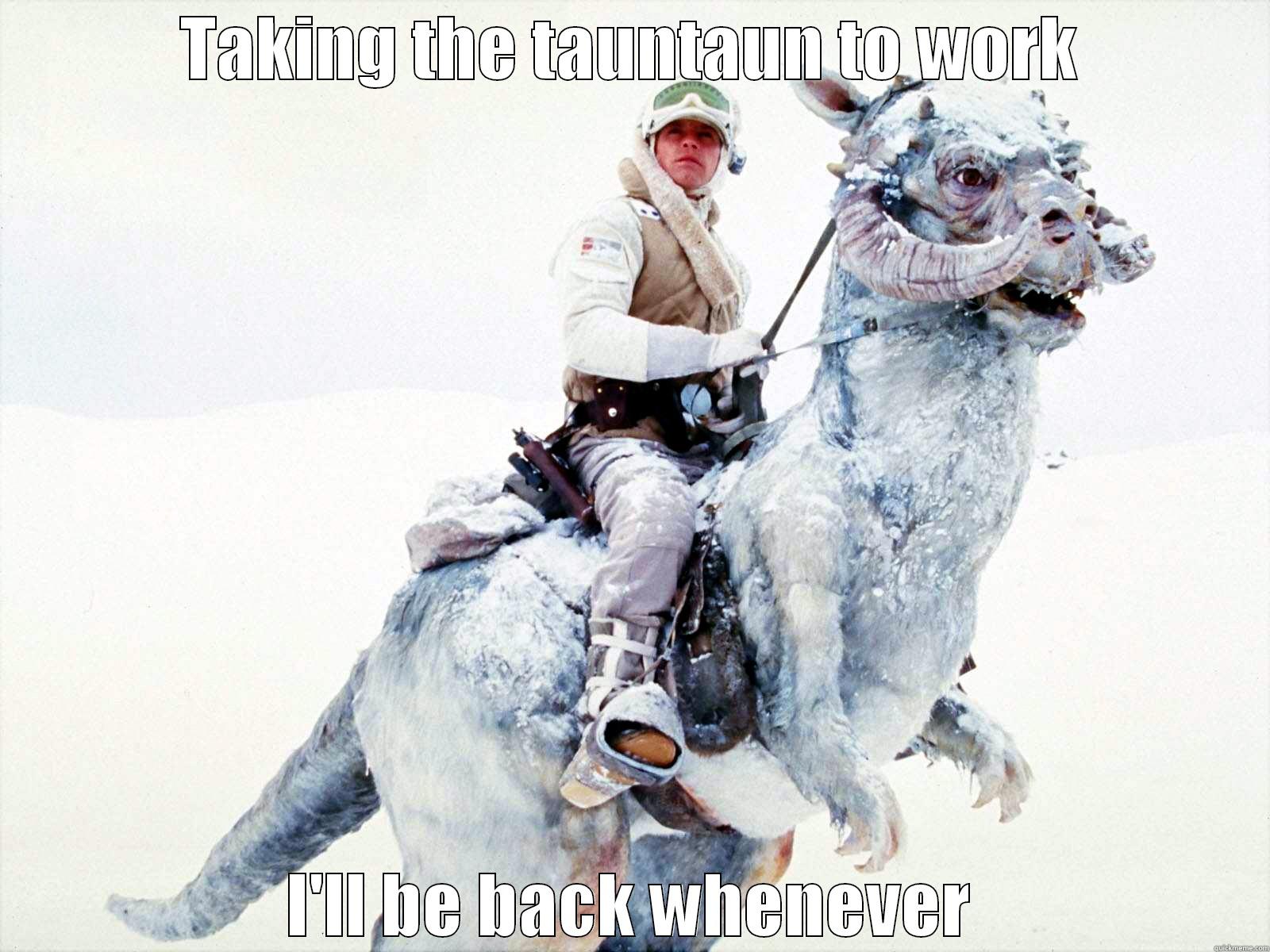 tauntaun 1 - TAKING THE TAUNTAUN TO WORK I'LL BE BACK WHENEVER Misc