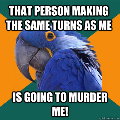 That person making the same turns as me is going to murder me!  Paranoid Parrot