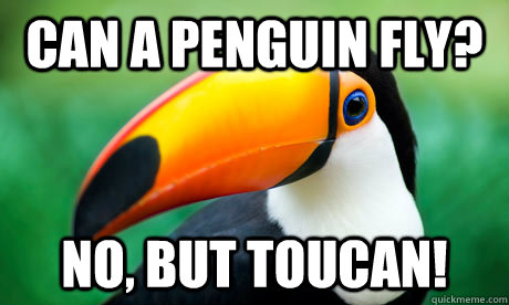 Can a penguin fly? No, but Toucan!  