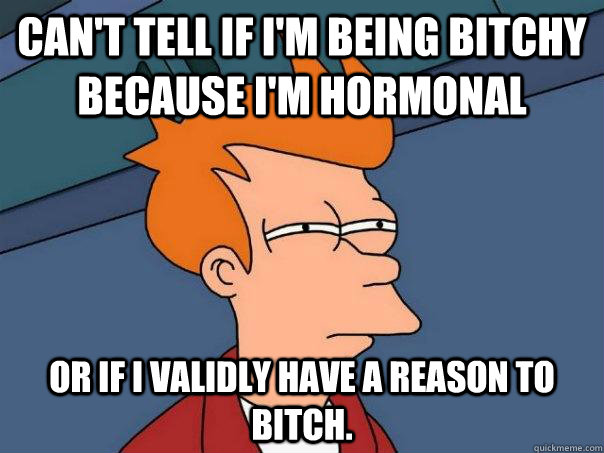 can't tell if i'm being bitchy because i'm hormonal or if i validly have a reason to bitch.  Futurama Fry