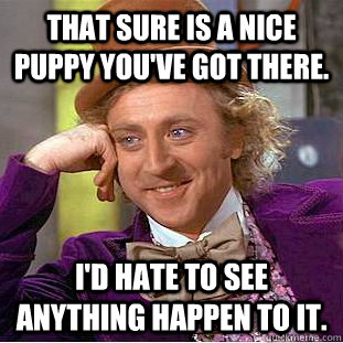 That sure is a nice puppy you've got there. I'd hate to see anything happen to it.  Condescending Wonka