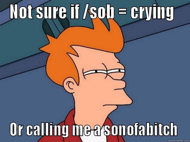 NOT SURE IF /SOB = CRYING  OR CALLING ME A SONOFABITCH Futurama Fry