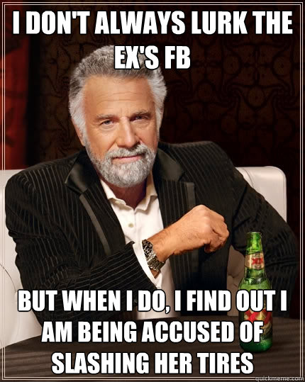 I don't always lurk the ex's fb But when i do, i find out i am being accused of slashing her tires  The Most Interesting Man In The World
