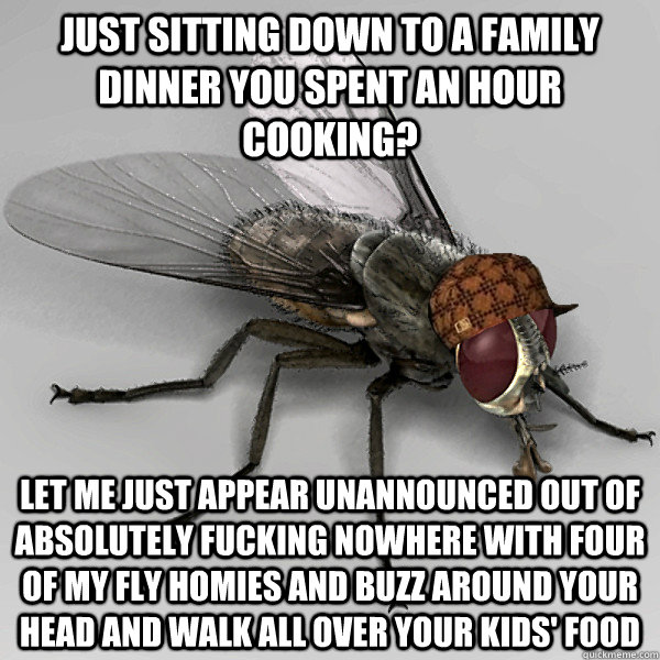 Just sitting down to a family dinner you spent an hour cooking? Let me just appear unannounced out of absolutely fucking nowhere with four of my fly homies and buzz around your head and walk all over your kids' food  Scumbag Fly