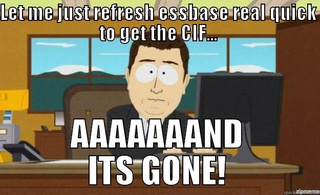 LET ME JUST REFRESH ESSBASE REAL QUICK TO GET THE CIF... AAAAAAAND ITS GONE! aaaand its gone