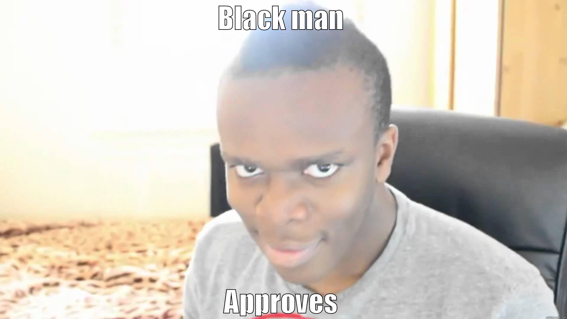 BLACK MAN APPROVES Misc