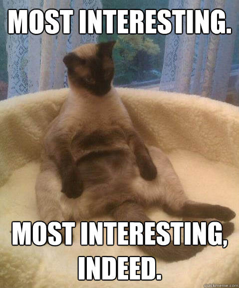 Most Interesting. Most Interesting, Indeed. - Most Interesting. Most Interesting, Indeed.  Interested Cat is Interested
