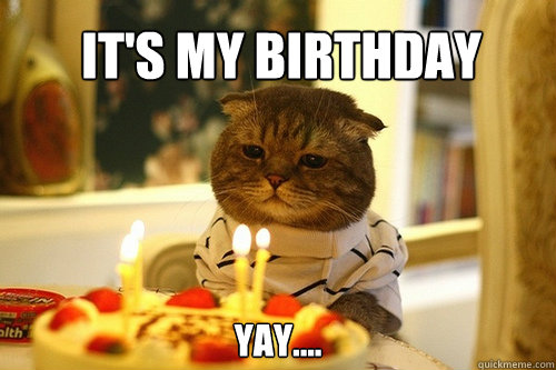 it's my birthday yay.... - it's my birthday yay....  Birthday cat