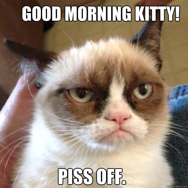 Good morning kitty! Piss off.  Tard