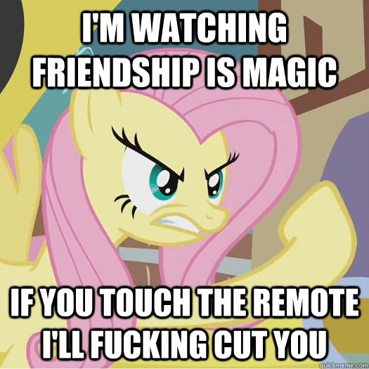 I'm watching Friendship is Magic if you touch the remote i'll fucking cut you  Flipoff Pony