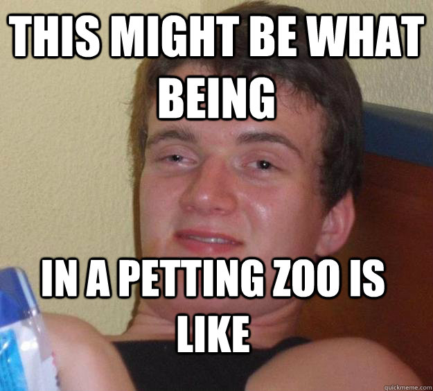 This might be what being in a petting zoo is like - This might be what being in a petting zoo is like  10 Guy