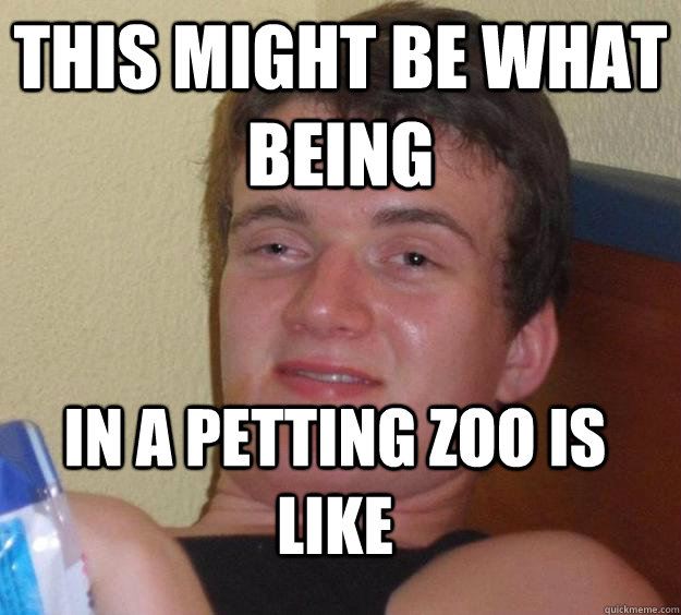 This might be what being in a petting zoo is like  10 Guy