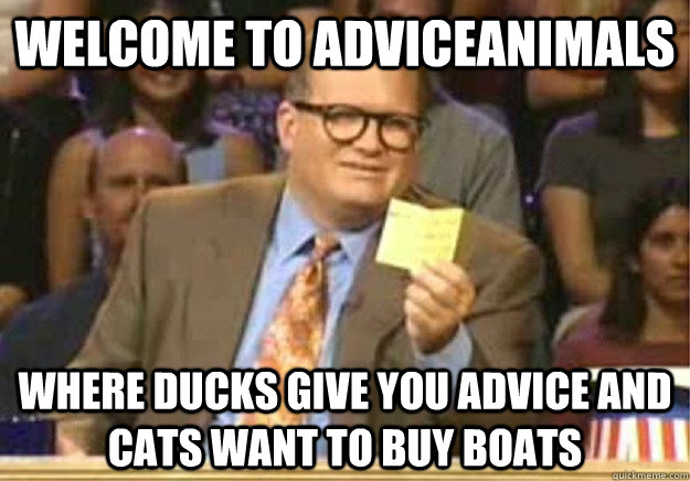 Welcome to AdviceAnimals where ducks give you advice and cats want to buy boats  Welcome to