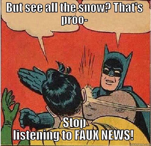 BUT SEE ALL THE SNOW? THAT'S PROO- STOP LISTENING TO FAUX NEWS!  Batman Slapping Robin