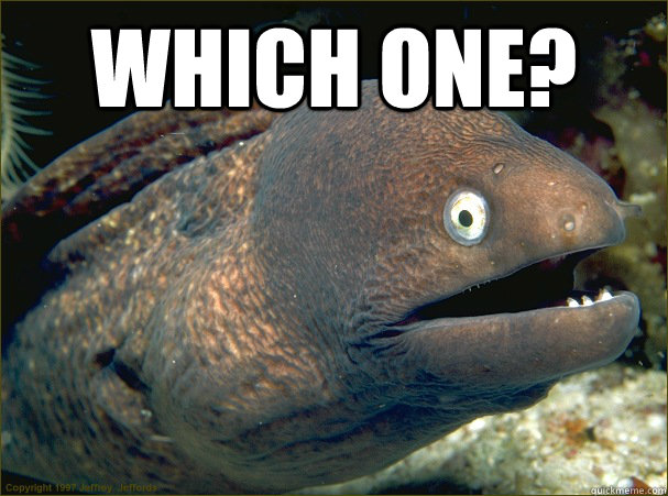 Which one?   Bad Joke Eel