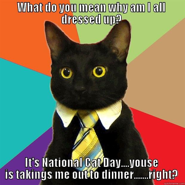 WHAT DO YOU MEAN WHY AM I ALL DRESSED UP? IT'S NATIONAL CAT DAY....YOUSE IS TAKINGS ME OUT TO DINNER.......RIGHT? Business Cat