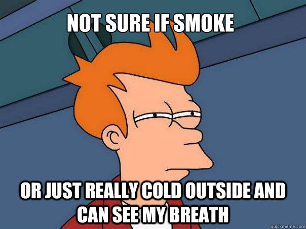 Not sure if smoke Or just really cold outside and can see my breath - Not sure if smoke Or just really cold outside and can see my breath  Futurama Fry
