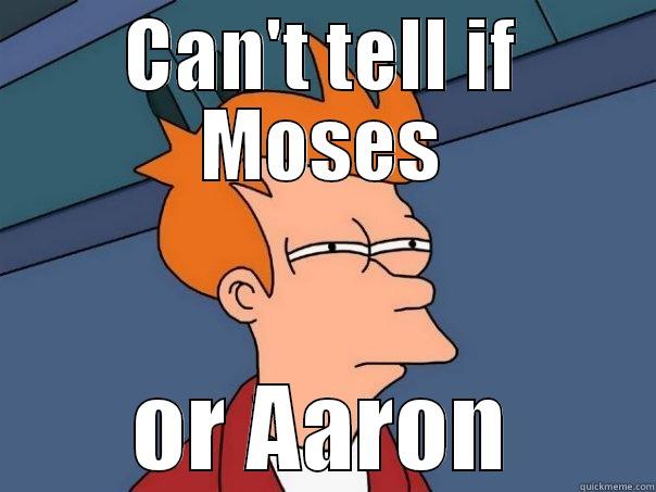 CAN'T TELL IF MOSES OR AARON Futurama Fry