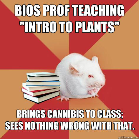 Bios prof teaching
