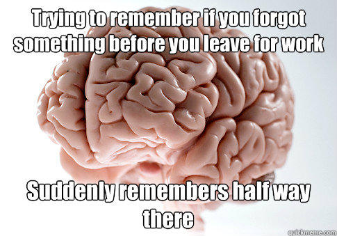 Trying to remember if you forgot something before you leave for work Suddenly remembers half way there   Scumbag Brain