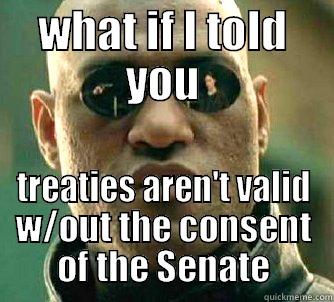 WHAT IF I TOLD YOU TREATIES AREN'T VALID W/OUT THE CONSENT OF THE SENATE Matrix Morpheus