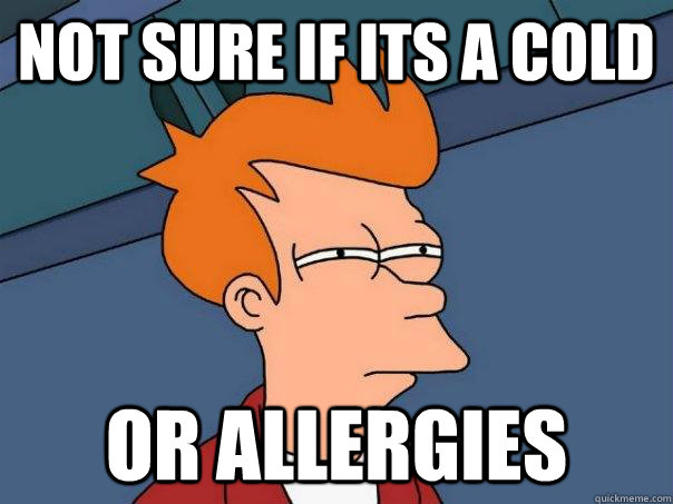 Not sure if its a cold Or allergies  Futurama Fry