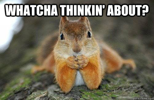 Whatcha thinkin' about?  - Whatcha thinkin' about?   Condescending Squirrel