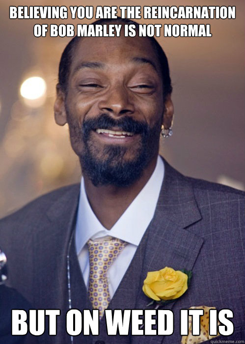 believing you are the reincarnation of bob marley is not normal but on weed it is - believing you are the reincarnation of bob marley is not normal but on weed it is  Snoop Lion