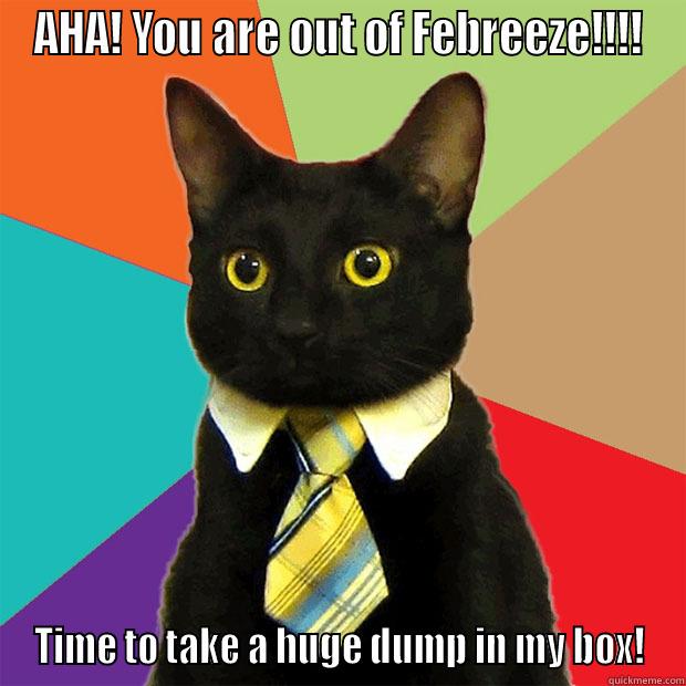 Mooshmallow says: - AHA! YOU ARE OUT OF FEBREEZE!!!! TIME TO TAKE A HUGE DUMP IN MY BOX! Business Cat