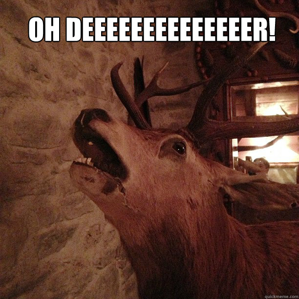 Oh deeeeeeeeeeeeeer!   Oh Dear