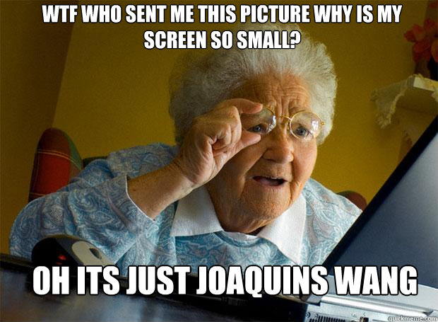 WTF who sent me this picture why is my screen so small? Oh its just joaquins wang  Grandma finds the Internet
