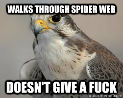 Walks through spider web Doesn't give a fuck  Fearless Falcon