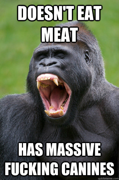 Doesn't eat meat Has massive fucking canines  Gorilla Canines