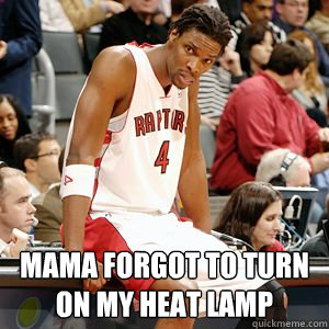  Mama forgot to turn on my heat lamp -  Mama forgot to turn on my heat lamp  Chris Bosh