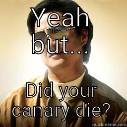 Dead Canary - YEAH BUT... DID YOUR CANARY DIE? Mr Chow