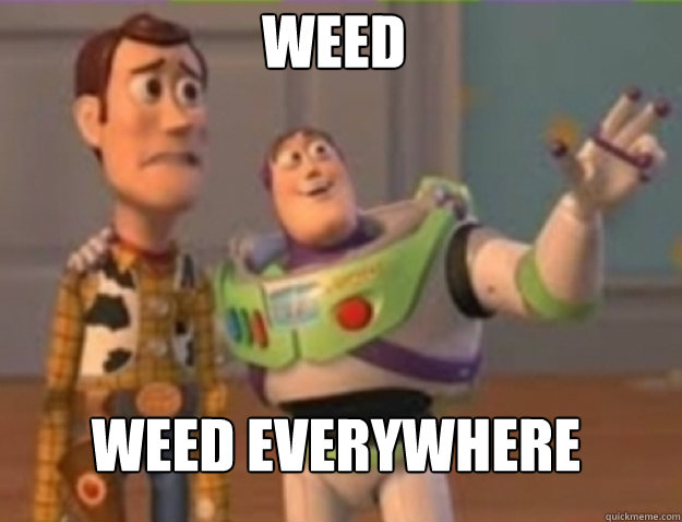 Weed Weed everywhere - Weed Weed everywhere  Misc