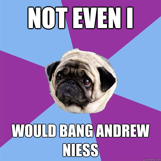 Not even I would bang andrew niess  Lonely Pug