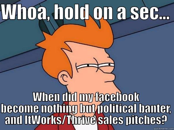 what happened to facebook? - WHOA, HOLD ON A SEC...  WHEN DID MY FACEBOOK BECOME NOTHING BUT POLITICAL BANTER, AND ITWORKS/THRIVE SALES PITCHES? Futurama Fry