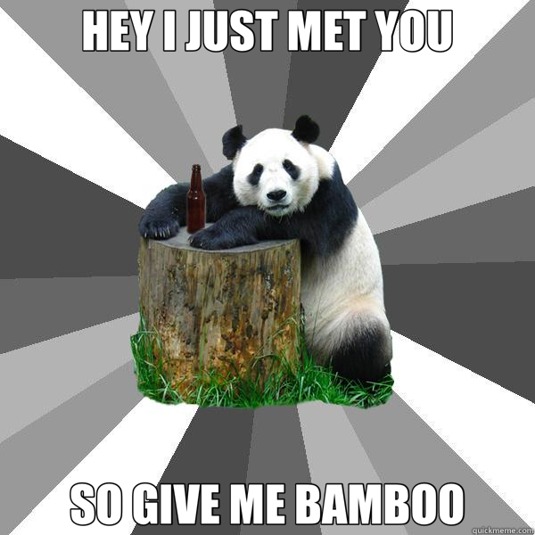 HEY I JUST MET YOU SO GIVE ME BAMBOO  Pickup-Line Panda