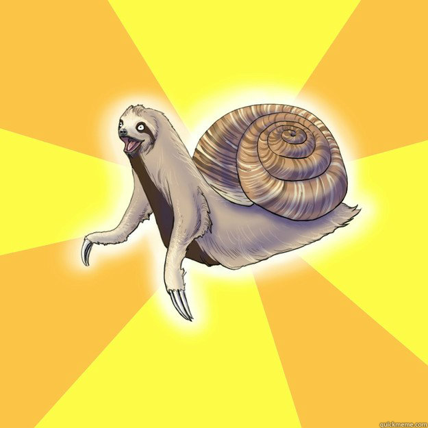    Slow Snail-Sloth