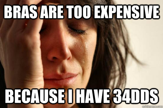 bras are too expensive because i have 34dds - bras are too expensive because i have 34dds  First World Problems