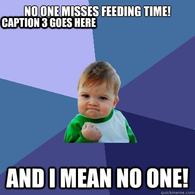 No one misses feeding time! And I mean no one! Caption 3 goes here  Success Kid