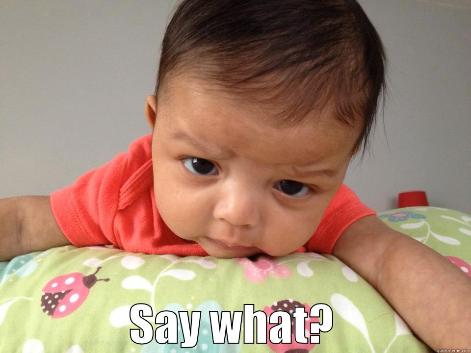  SAY WHAT? Misc