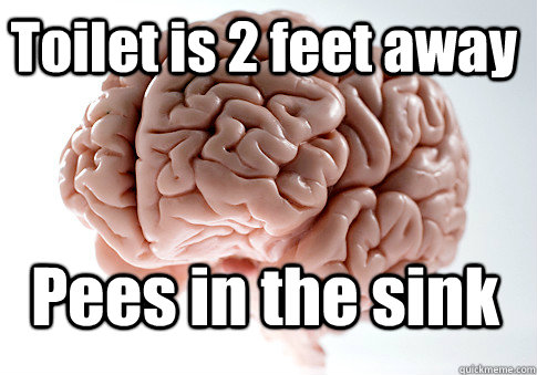 Toilet is 2 feet away Pees in the sink   Scumbag Brain