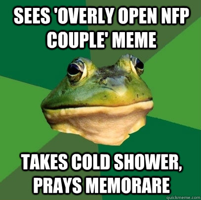 sees 'Overly Open NFP Couple' meme takes cold shower, prays memorare  Foul Bachelor Frog