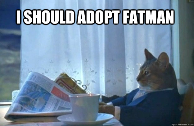 i should adopt fatman  Sophisticated Cat