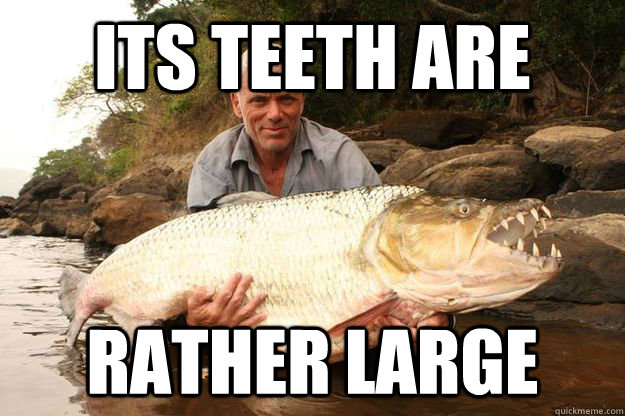 its teeth are rather large  