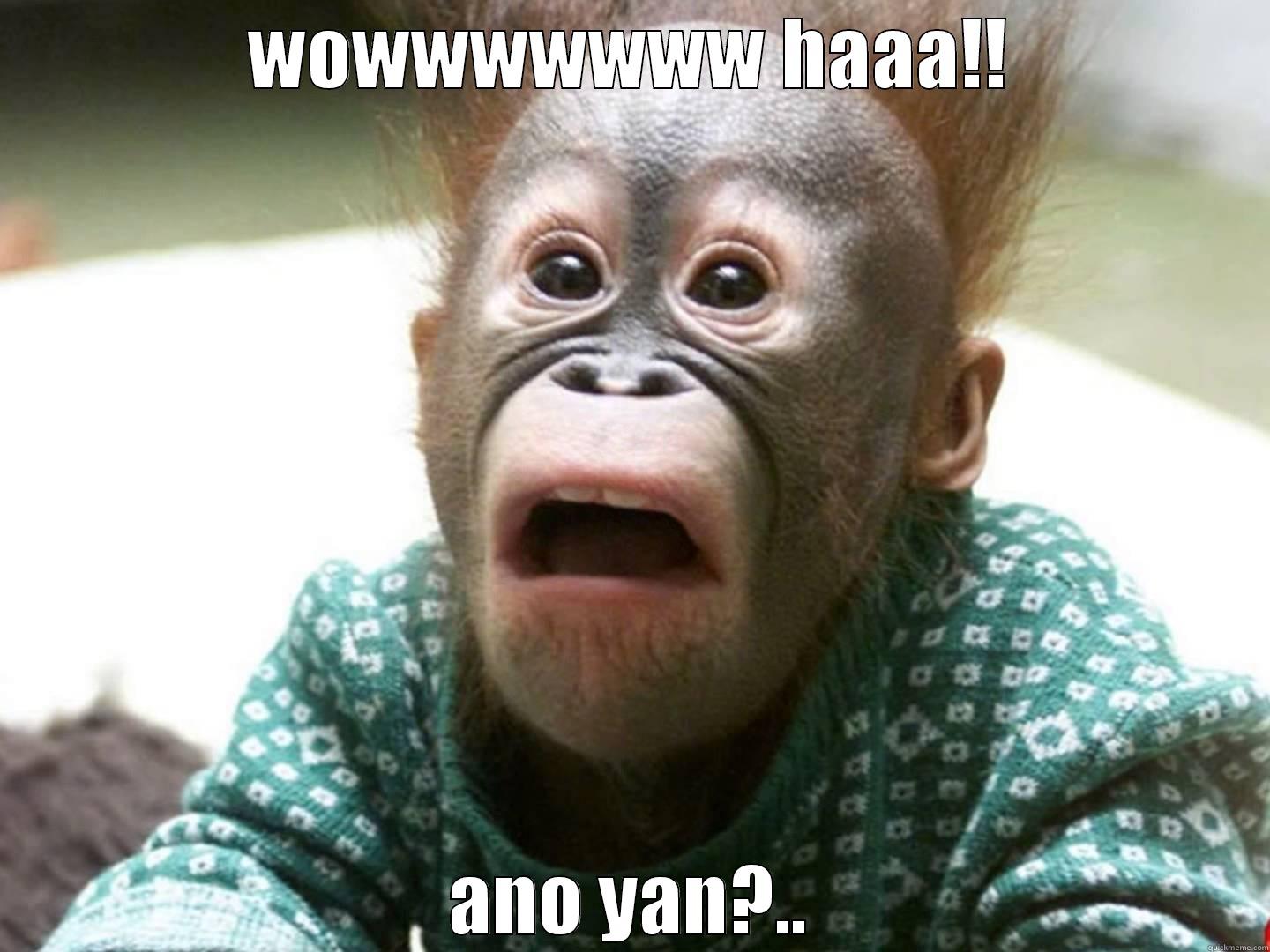 WOWWWWWWW HAAA!! ANO YAN?.. Misc