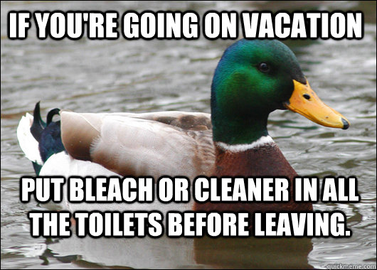 If you're going on vacation Put bleach or cleaner in all the toilets before leaving.  Actual Advice Mallard